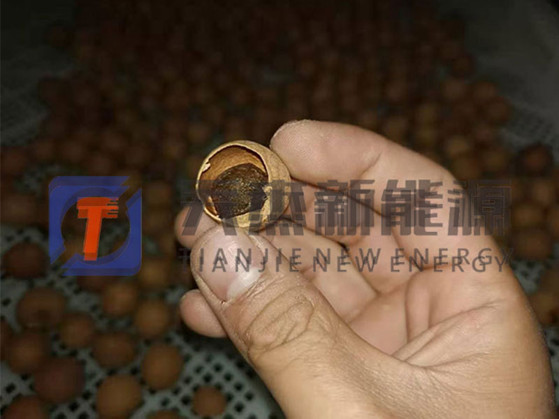阜陽龍眼烘干機客戶實拍現場
