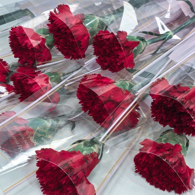 婦女節(jié) | 春風(fēng)如你，熠熠芳華